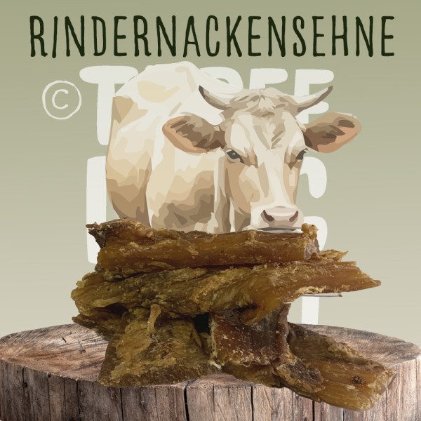 Rindernackensehnen