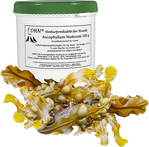 Bio* Ascophyllum Nodosum