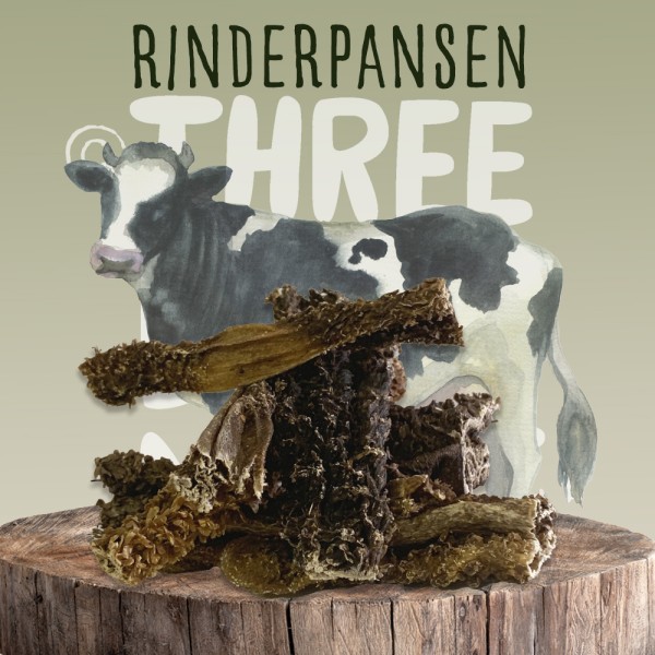 Rinderpansen