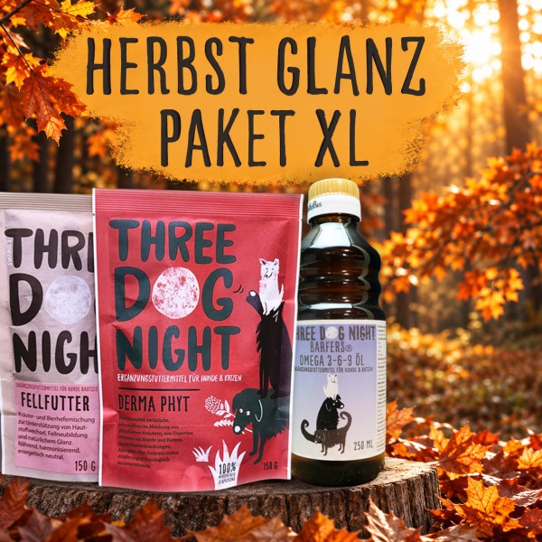 Herbst Glanz Paket XL